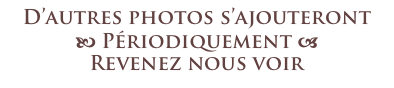 D’autres photos s’ajouteront
b Périodiquement a
Revenez nous voir