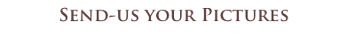 Send-us your Pictures