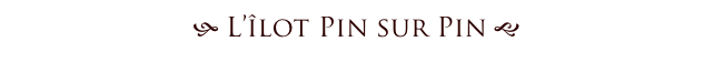 h L’îlot Pin sur Pin g 