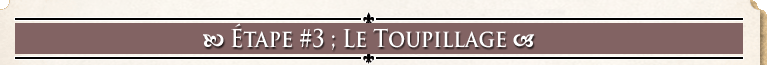 Étape #3; Le toupillage