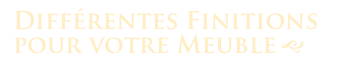 Différentes Finitions
pour votre Meuble g 